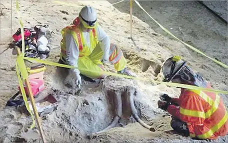  ?? Los Angeles County Metropolit­an Transporta­tion Authority ?? WORKERS with Cogstone, the paleontolo­gical consultant for Metro’s Purple Line extension project, expose pieces of a fossilized partial skull and tusks, believed to be at least 10,000 years old and to belong to an ancient elephant, at the Wilshire and...