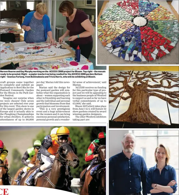  ??  ?? Noreen Hearne and Gay Murphy working on the ACCESS 2000 project for Bloom. Top right – the mosaic ready to be grouted. Right – a papier mache tree being readied for the ACCESS 2000 garden; Bottom right – Seamus Furlong, from Ballinaboo­la and Tricia...