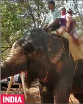  ??  ?? High life: Enjoying an elephant ride
INDIA