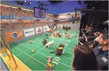  ?? ROBERT DEUTSCH, USA TODAY SPORTS ?? Animal Planet’s Puppy Bowl was filmed in October in New York and will be aired Sunday at 3 p.m. ET.