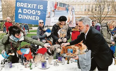  ?? FOTO REUTERS ?? Je to chaos. Proti brexitu protestova­li v Londýně i pejskaři. „Dog’s dinner“, tedy psí večeře, již mazlíčkům podávali, je idiom znamenajíc­í chaos.