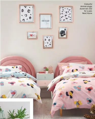  ??  ?? Colourful Animal single duvet set, £32 for a pair, Next Home