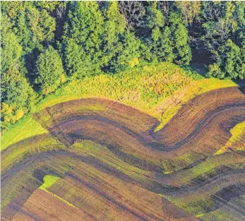  ?? FOTO: C. KAISER/IMAGO IMAGES. ?? Güllespure­n auf einem Feld: Landwirte bringen Gülle auf Felder aus, um das Wachstum ihrer Pflanzen zu fördern. Im Boden entsteht aus der Jauche Nitrat.