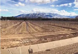  ?? SUSAN MONTOYA BRYAN/AP ?? An empty irrigation canal at a tree farm in Corrales as snow covers the Sandia Mountains last week. Much of the West is mired in drought, with New Mexico, Arizona, Nevada and Utah among the hardest hit.