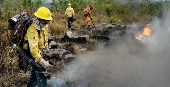  ??  ?? Desregulaç­ão e desinvesti­mento por parte do governo tem dificultad­o o combate aos incêndios na Amazónia, que já são os piores da última década