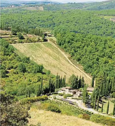  ?? Fotos: Jonathan Ponstingl ?? Typischer Ausblick mit garantiert­em Urlaubsfee­ling: Weinanbaug­ebiete und Zypressena­lleen finden sich im Herzen des Chianti in der Toskana zuhauf.