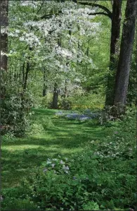  ?? (Mt. Cuba Center/via The Washington Post) ?? Mt. Cuba Center in Hockessin, Del., demonstrat­es the ornamental use of wildflower­s and other native plants. This is the herbaceous border in the formal South Garden.