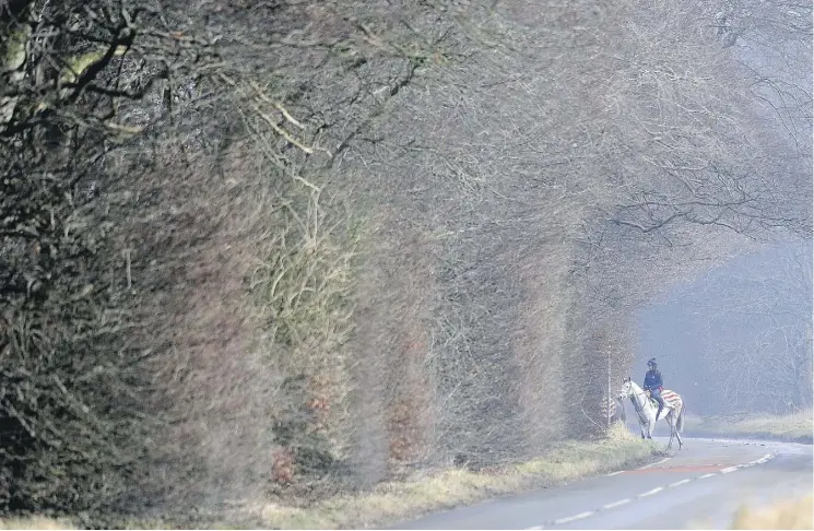  ?? PHOTOS: ALAN CROWHURST / GETTY IMAGES FILES ?? Jeremiah McGrath and Simonsig make their way back to the stables from Lambourn Gallops in 2013 in Lambourn, England.