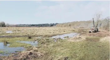  ??  ?? The Heron Meadow, above, which is being cleared for the Bringing Nature Closer project, and boating on the Nene, top.