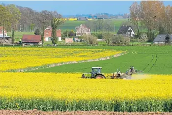  ?? ?? GREEN FIELDS: France is pressing for new ways to make pesticides more sustainabl­e.