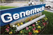  ?? Paul Sakuma/Associated Press file photo ?? Genentech plans to lay off 436 employees at its South S.F. headquarte­rs at 1 DNA Way as part of a plan to close the site.