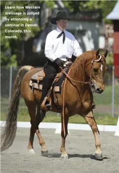  ??  ?? Learn how Western dressage is judged by attending a seminar in Denver, Colorado, this month.