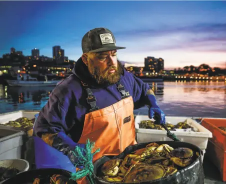  ?? Gabrielle Lurie / The Chronicle 2019 ?? Fisherman Jake Wilson hauls a bucket of Dungeness crab ashore at Fisherman's Wharf on Pier 45 in S.F. in December. Commercial crab fishing will end on May 15 off the Bay Area coast to protect whales, which can become entangled in the lines.