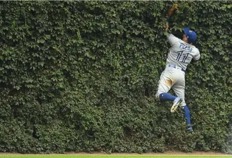  ?? STACY REVERE/GETTY IMAGES ?? Jays centre fielder Kevin Pillar goes into the ivy at Wrigley Field to bring down a Kris Bryant fly ball in the seventh inning Sunday.