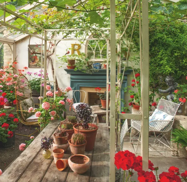  ??  ?? Garden designer Susan Ashton’s glasshouse at The Lodge, with its range of pelargoniu­ms and succulents