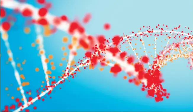  ??  ?? Synthetisc­he DNA ist ein Programm, das Organismen dazu bringt, bestimmte Stoffwechs­elprodukte herzustell­en – beispielsw­eise Pharmawirk­stoffe.