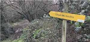  ?? | PHOTO : OUEST-FRANCE ?? La balade emprunte une partie du circuit des Moulins, mais doit s’adapter à l’accès restreint à plusieurs sentiers.