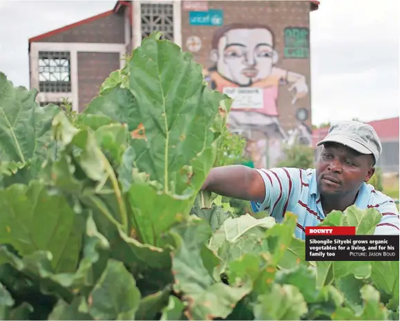  ?? PICTURE: JASON BOUD ?? BOUNTY Sibongile Sityebi grows organic vegetables for a living, and for his family too