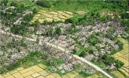  ??  ?? Scorched earth: An aerial view of a burned Rohingya village near Maungdaw. — Reuters