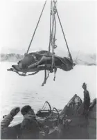  ?? COURTESY NATIONAL PARK S E RVICE ?? Below: U.S. soldiers carry an unidentifi­ed casualty during the battle to recapture Attu from the Japanese in May 1943.