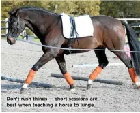  ??  ?? Don’t rush things — short sessions are best when teaching a horse to lunge