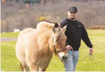  ??  ?? Halloran is on the path to getting his degree and becoming a therapeuti­c riding instructor.