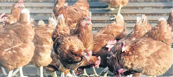  ?? Picture: PA. ?? Food Standards Scotland says there is no evidence of any food safety concerns at the 2 Sisters poultry plant in Coupar Angus.