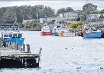  ?? DAVID JALA/CAPE BRETON POST ?? The waters in Glace Bay harbour are quiet and peaceful in this photo, but fishermen from this harbour know to be careful when they are on the open sea. Dangerous conditions have always been part and parcel of working in any of Cape Breton’s industrial mainstays, including the fisheries.