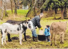  ?? FOTO: PRIVAT ?? Bei Kindern sind Esel natürlich besonders beliebt. Bei dem gefleckten Esel handelt sich um ein Pflegetier, das Max Wiest aufgepäppe­lt hat.