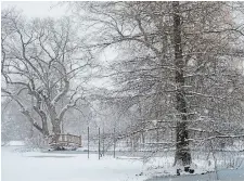  ?? ?? Deep in the garden, mature trees etched in snow and an arched wooden bridge anchor an icy reflecting pool.