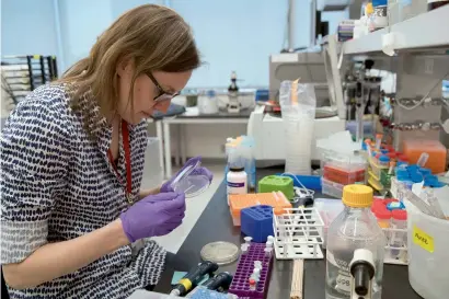  ?? AP ?? Post doctoral fellow Leslie Mitchell works at her bench at a New York University lab in the Alexandria Centre for Life Sciences in New York where researcher­s are attempting to create completely man-made, custom-built DNA. —