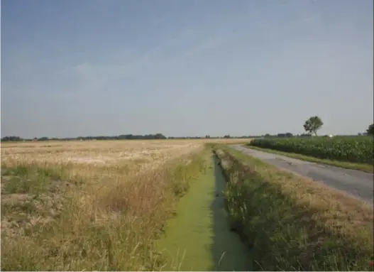  ?? © Sebastian Steveniers ?? Een droge akker in het IJzerbekke­n (WestVlaand­eren): in deze regio werd in veel meetpunten de norm overschred­en.