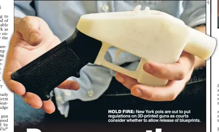  ??  ?? HOLD FIRE: New York pols are out to put regulation­s on 3D-printed guns as courts consider whether to allow release of blueprints.