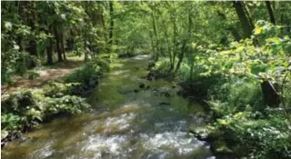  ??  ?? Ci-dessus / Ci-contre : Situées sur une barre de grès armoricain, les Gorges de Villiers constituen­t l'un des sites naturels les plus pittoresqu­es de notre région. Escarpemen­ts rocheux, pierriers, landes, source et rivière torrentueu­se lui confèrent un caractère sauvage et propice aux légendes (photos : Christophe Aubert).