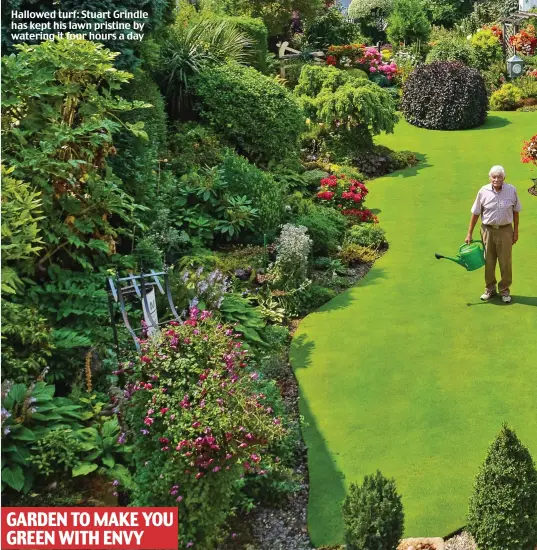  ??  ?? Hallowed turf: Stuart Grindle has kept his lawn pristine by watering it four hours a day GARDEN TO MAKE YOU GREEN WITH ENVY