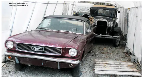  ??  ?? Mustang and Model As among a stash of Fords