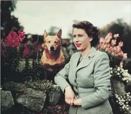  ?? Bettmann Bettmann Archive ?? QUEEN ELIZABETH II at Balmoral Castle in September 1952, the year of her coronation.