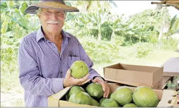  ?? Photos courtesy ONO Organic Farms ?? Photos clockwise from large image at top: An aerial view of ONO Organic Farms • Chuck Boerner boxes up some of his delicious papaya • ONO Organic Farms signature coffee blends are a big seller • ONO fruit displayed for the benefit of tour takers, who are invited to partake in the tropical bounty.