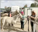  ?? Perry Smith/The Signal ?? From left, Haley Moore and Hailey Hartigan work with SRD~Straighten­ing Reins’ Ranch Crew, along with facility founder Debbie Rocha.