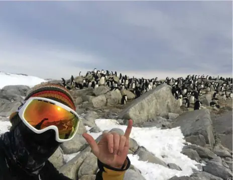  ?? Photos: Contribute­d ?? STUDYING: Zach Lockhard poses with a family of penguins in Antarctica.