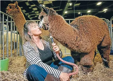  ??  ?? Taranaki alpaca breeder Lynette Gopperth with Mario Lanza at the Alpaca Expo held at Mystery Creek.