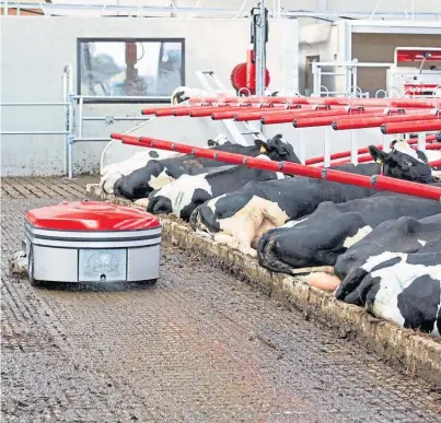  ??  ?? FLOOR SHOW: The Lely Discovery Collector 120 vacuums up manure rather than pushing it to a holding area