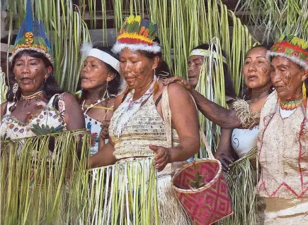  ?? FOTOS: JUAN DIEGO LÓPEZ/EFE ?? Los Uitoto son otra de las etnias que están recuperand­o tradicione­s ancestrale­s en el departamen­to colombiano del Amazonas