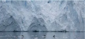  ?? (Alexandre Meneghini/Reuters) ?? PENGUINS SWIM next to a glacier in Neko Harbor, Antarctica, earlier this year.