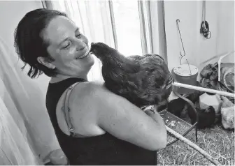  ?? Alex Brandon / Associated Press ?? Grace Hoss, holding her rooster, built a chicken coop inside her neighbor's home in Chesapeake, Va., to hold their combined chickens in preparatio­n for Hurricane Florence.