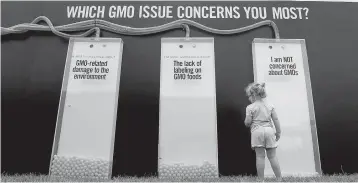  ?? ASSOCIATED PRESS FILE PHOTO ?? A child views a display that uses orange balls to register people’s opinions on GMOs earlier this summer at the Cultivate Festival in Kansas City, Mo.