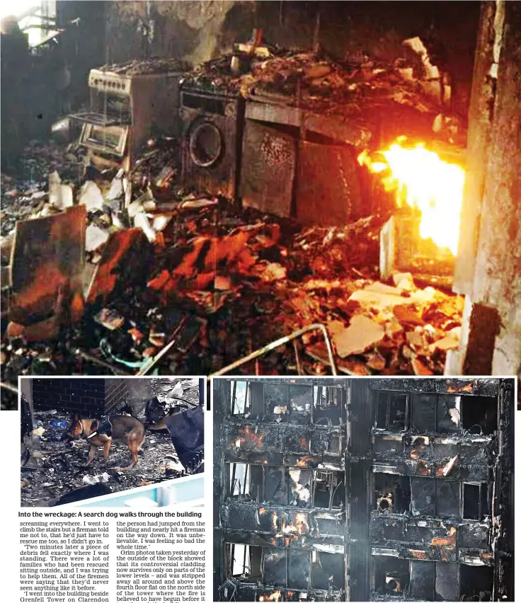  ??  ?? Into the wreckage: A search dog walks through the building The upper floors yesterday, with the cladding blamed for helping spread the flames burned away