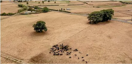  ?? TOM LEE/STUFF ?? The Government has extended the drought relief programme that was put in place last year until the end of June.