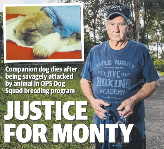  ?? Picture: JERAD WILLIAMS ?? Robert Watts lost his beloved pet dog Monty (inset) in an attack at Pacific Pines a week ago by an animal owned by Queensland Police.