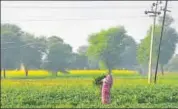  ?? HT FILE PHOTO ?? The government will provide free connection­s under the Deendayal Upadhyaya Gram Jyoti Scheme.